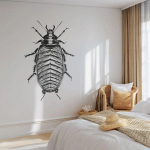 Fototapete Premium Sand - Schwarz-Weiß-Abbildung eines großen Insekts auf weißem Hintergrund - 100x70cm - Was für ein Exemplar! - Moderne Wanddekoration für Wohnzimmer und Schlafzimmer ARTTOR