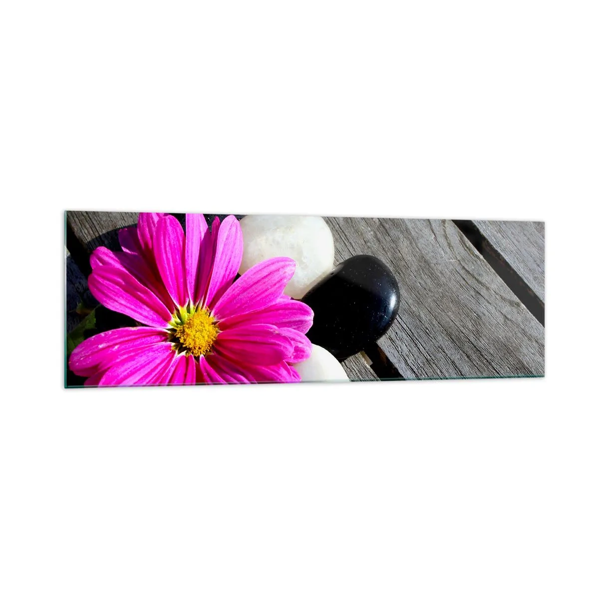 Glasbild - Bild auf glas - Rosa Blume auf einem Hintergrund aus Holzbrettern mit Steinen - 160x50cm - Ruhe auf dem Pier - Moderne Wanddekoration für Wohnzimmer und Schlafzimmer ARTTOR