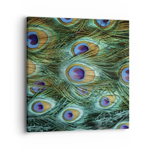 Bild auf Leinwand - Leinwandbild - Ein Blick mit Pfauenaugen - 40x40 cm