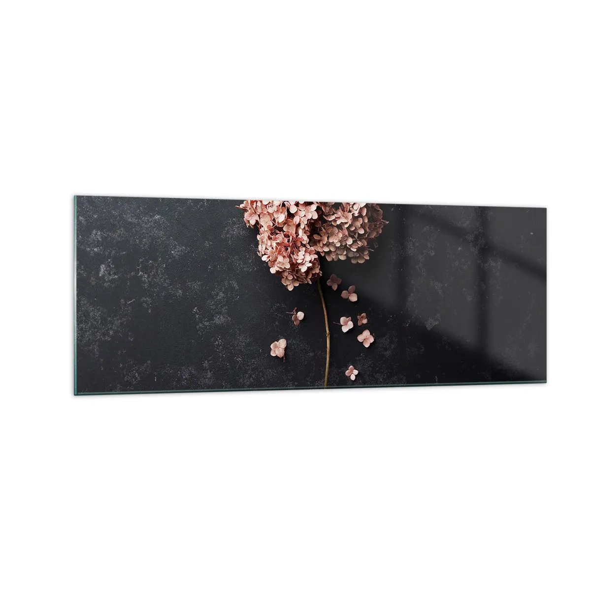 Glasbild - Bild auf glas - Eine zarte Hortensienblüte auf dunklem Hintergrund - 140x50cm - Wirklich romantisches Zeichen - Moderne Wanddekoration für Wohnzimmer und Schlafzimmer ARTTOR