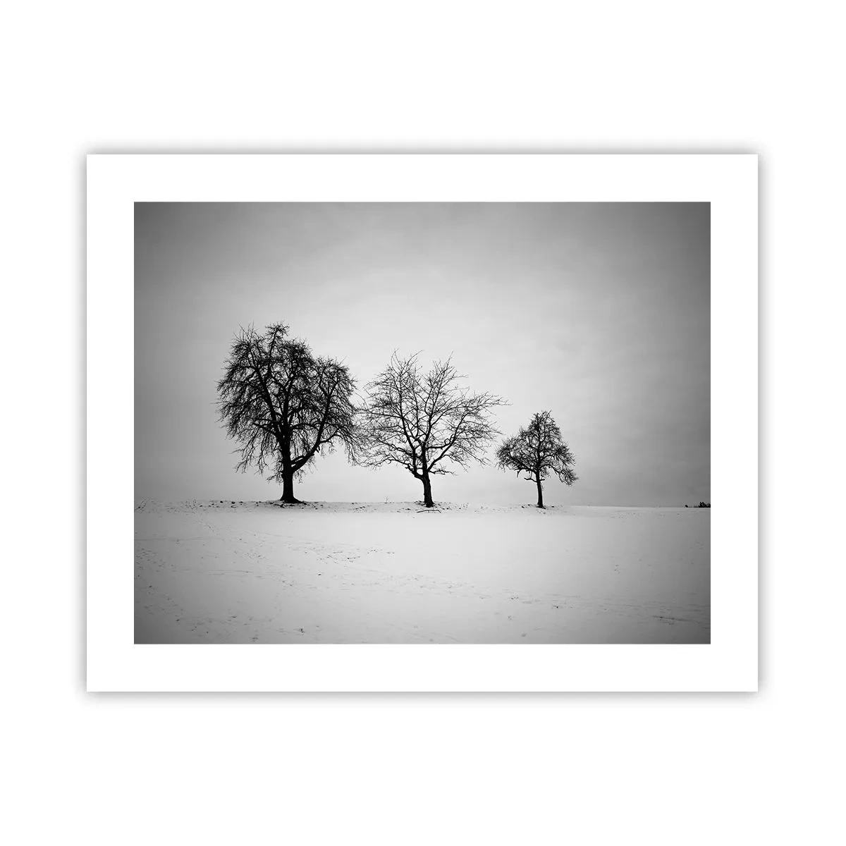 Poster - Wovon träumen sie? - 50x40 cm