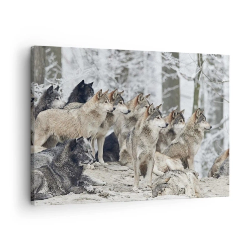 Bild auf Leinwand - Leinwandbild - Ein Wolfsrudel im Winterwald - 70x50cm - Familie und Freunde - Moderne Wanddekoration für Wohnzimmer und Schlafzimmer ARTTOR