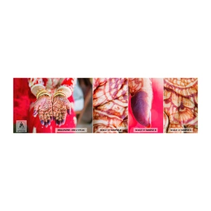 Fototapeten Muster Selbstklebend Deluxe Sticker - Bereit, das Glück zu fangen? - Frauenhände, Orientalische Designs, Indien - 100x30 cm