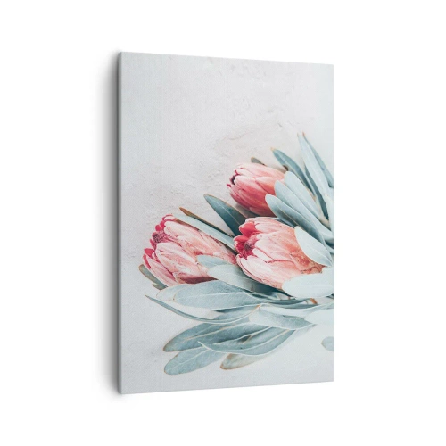Bild auf Leinwand - Leinwandbild - Dezente rosa Protea-Blüten auf hellem Hintergrund - 50x70cm - Schämen sich für ihre eigene Schönheit - Moderne Wanddekoration für Wohnzimmer und Schlafzimmer ARTTOR