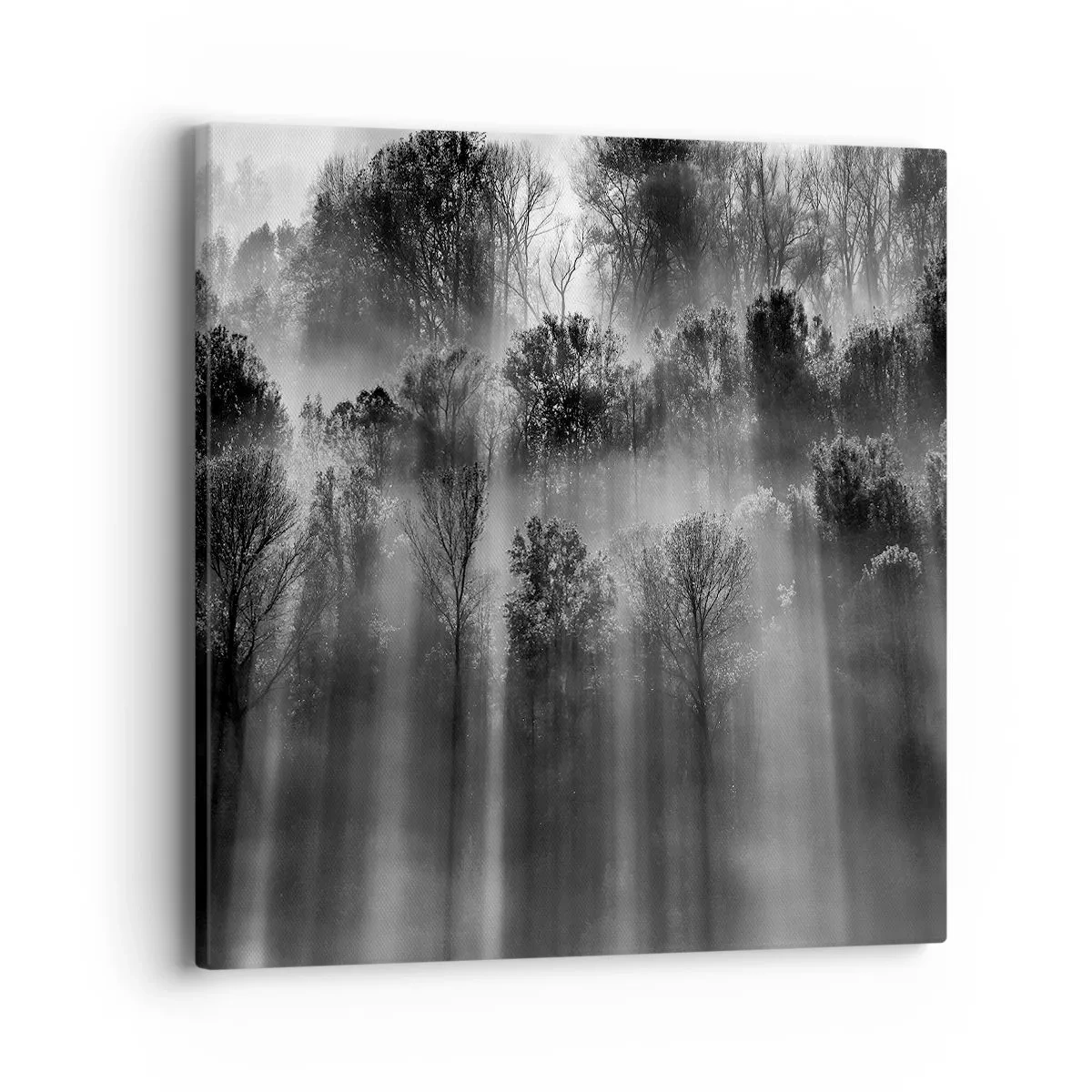 Bild auf Leinwand - Leinwandbild - In Lichtstrahlen - 40x40 cm