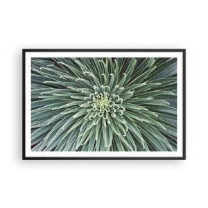 Poster in einem schwarzem Rahmen - Ein Star ist geboren - 91x61 cm