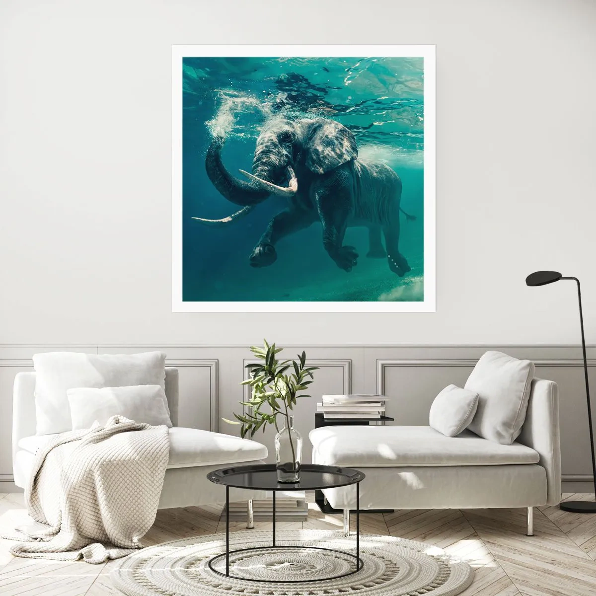 Poster - Jeder schwimmt gerne - 50x50 cm