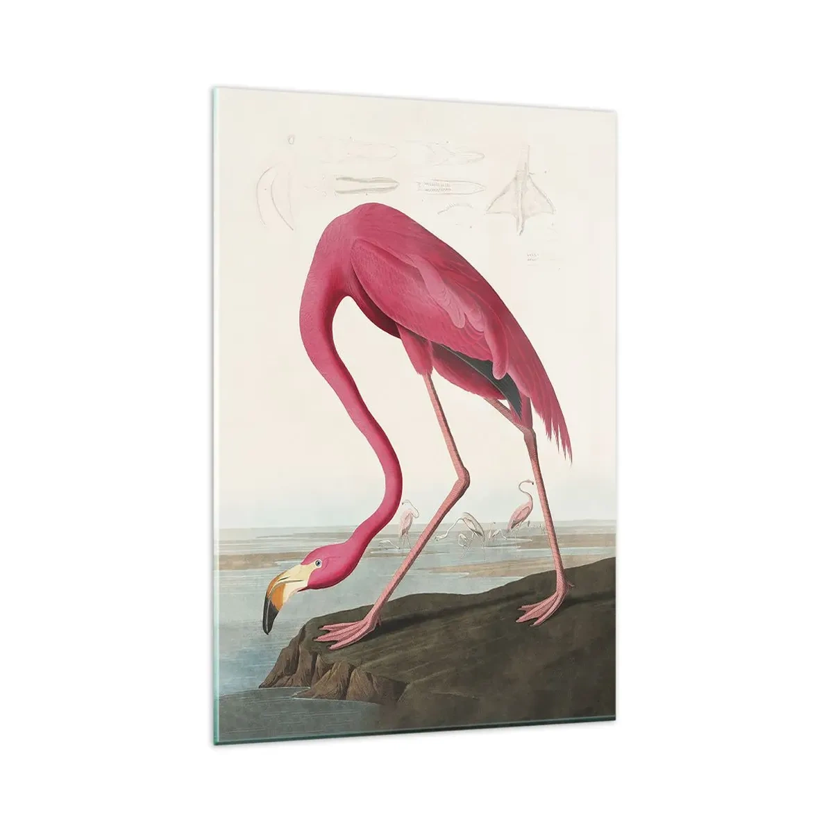 Glasbild - Bild auf glas - Erstaunliche Kreation - 80x120 cm