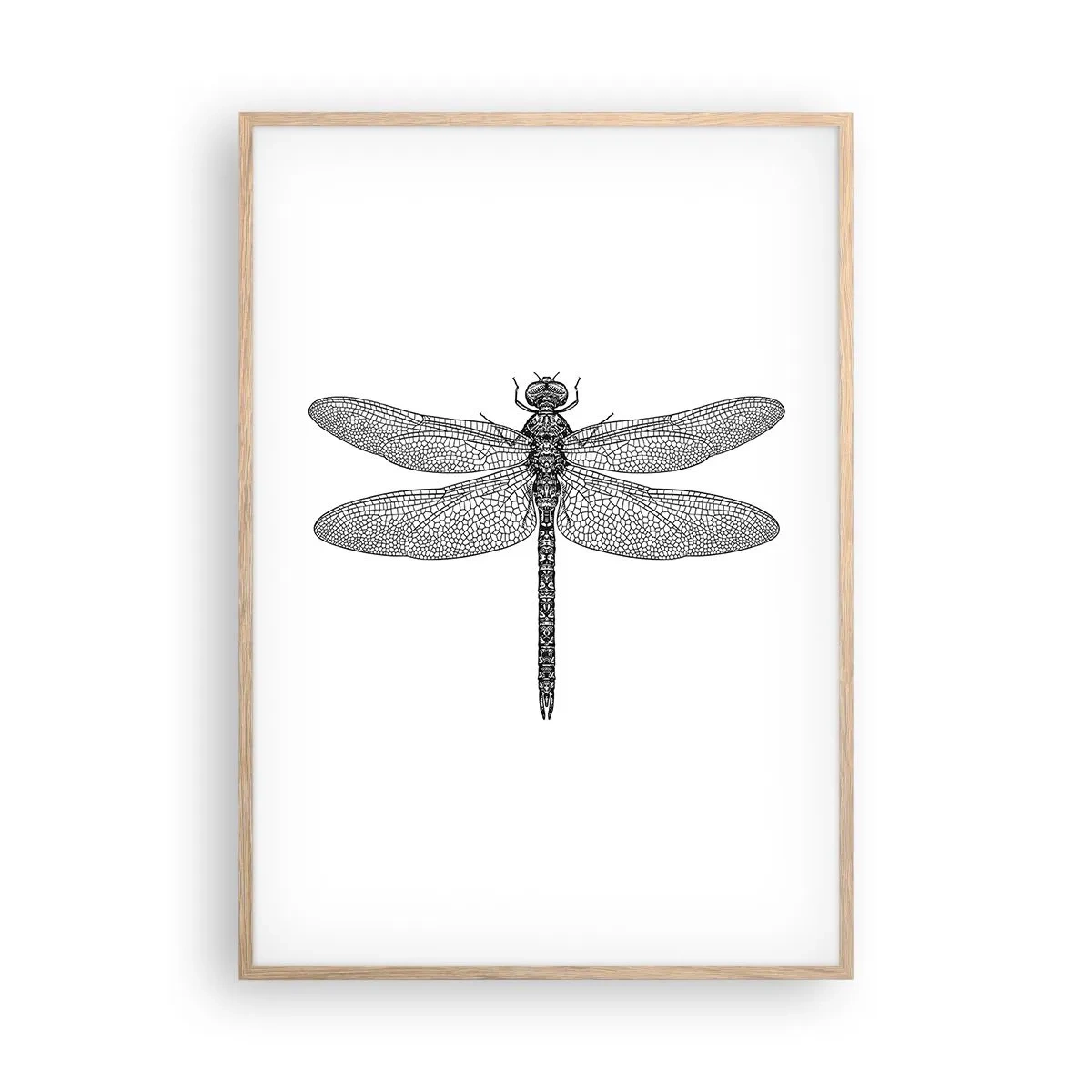 Poster in einem Rahmen aus heller Eiche - Präzision der Natur - 70x100 cm