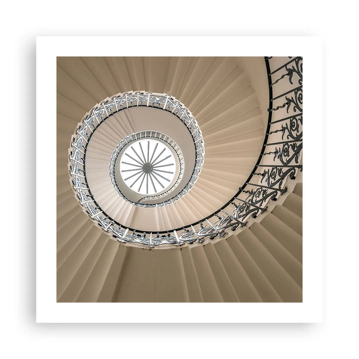 Poster - Im Inneren der Muschel - 50x50 cm