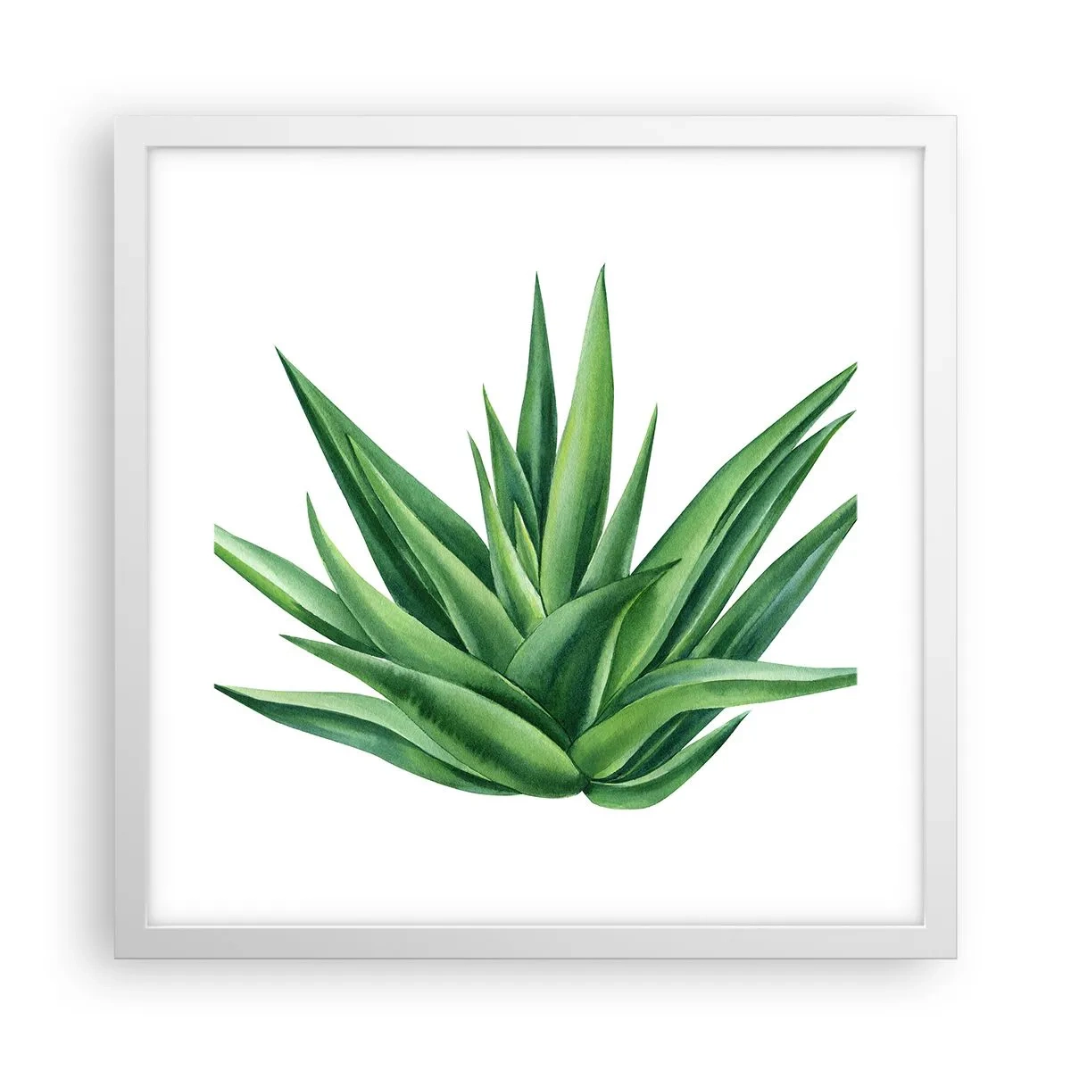 Poster in einem weißen Rahmen - Grün – Kraft – Leben - 40x40 cm