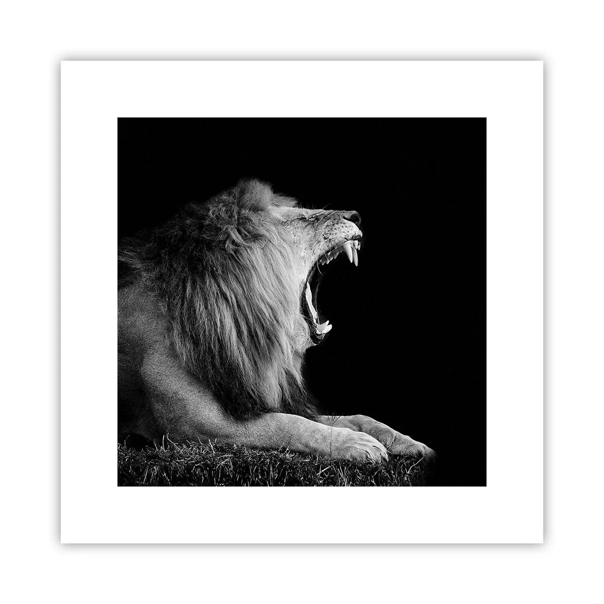 Poster - Ohne Zweifel - 30x30 cm