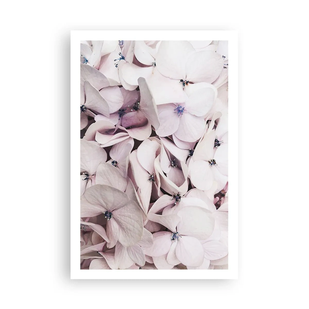 Poster - In einer Blumenflut - 61x91 cm