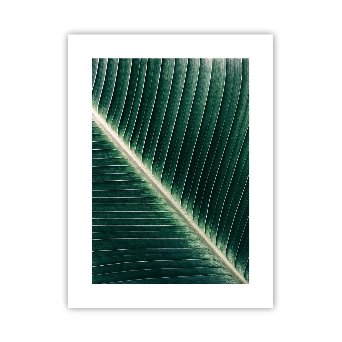 Poster - Rhythmus der Natur - 30x40 cm