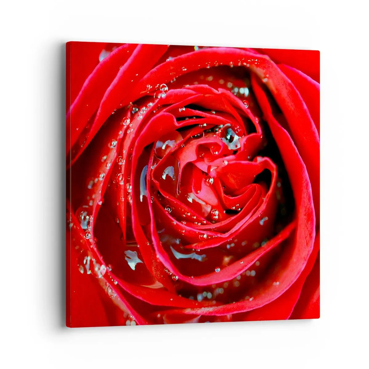 Bild auf Leinwand - Leinwandbild - In den Tautropfen - 40x40 cm
