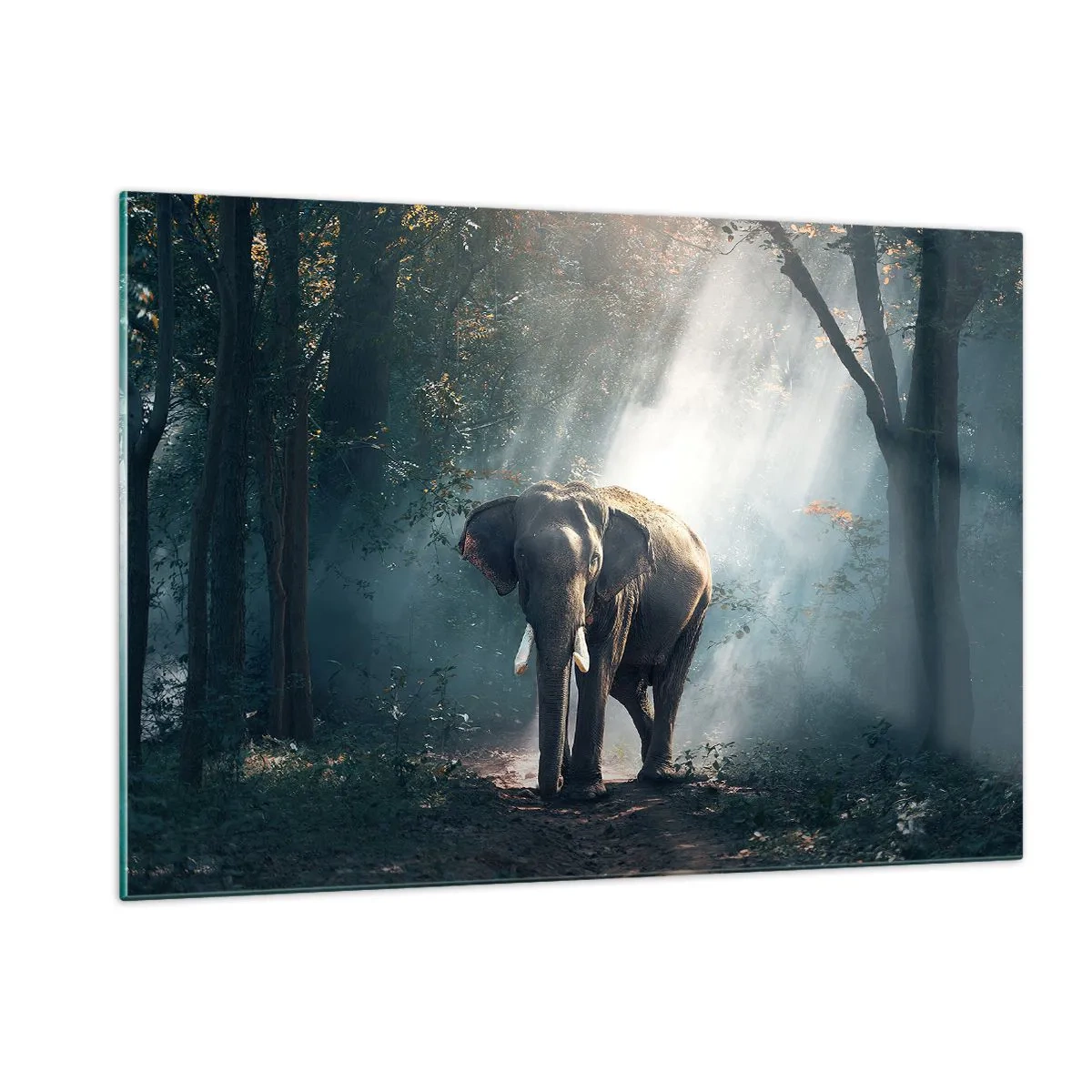 Glasbild - Bild auf glas - Ein Elefant läuft durch den Wald, während das Sonnenlicht durch die Bäume fällt. - 120x80cm - Ein gemütlicher Spaziergang - Moderne Wanddekoration für Wohnzimmer und Schlafzimmer ARTTOR
