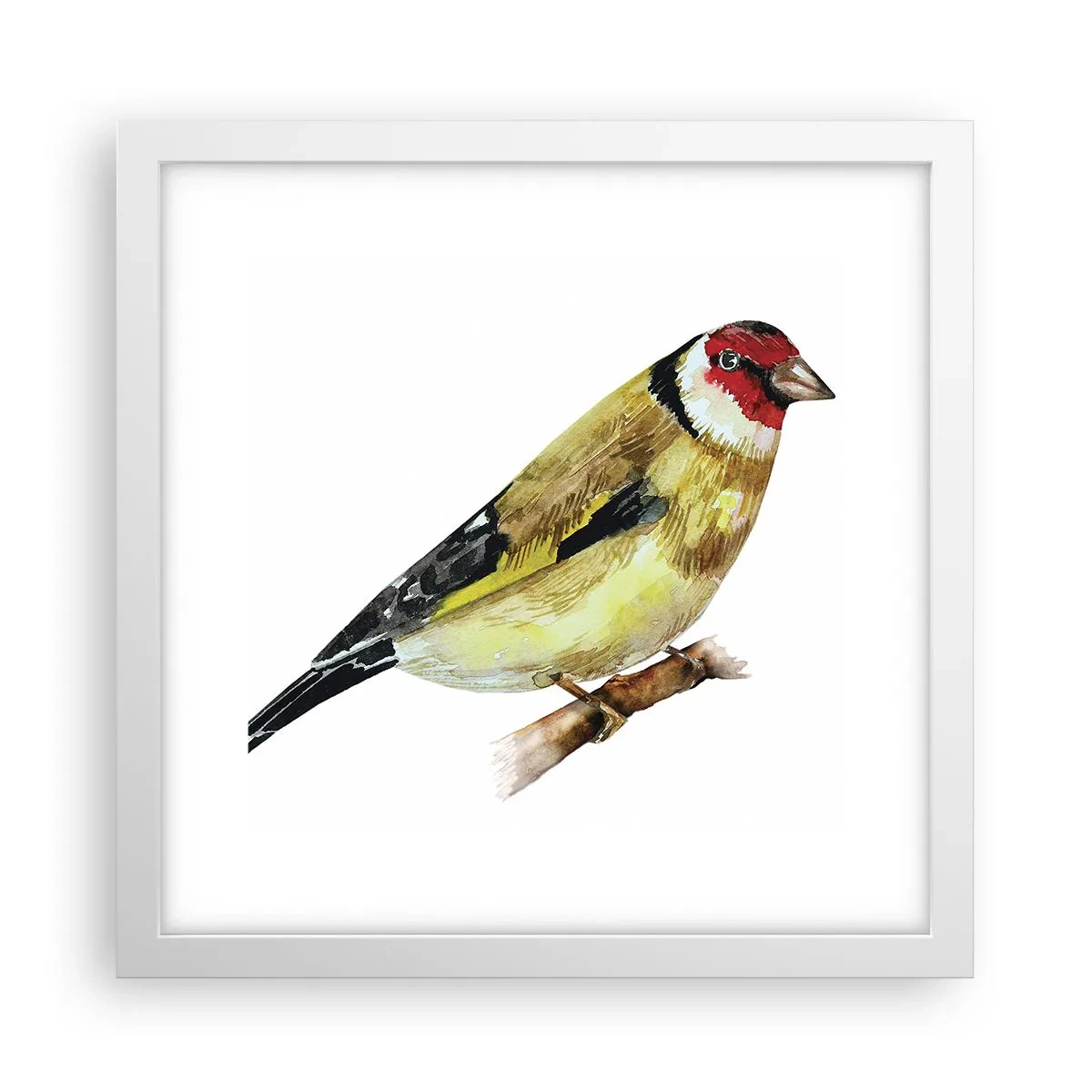 Poster in einem weißen Rahmen - Vogelporträt - 30x30 cm