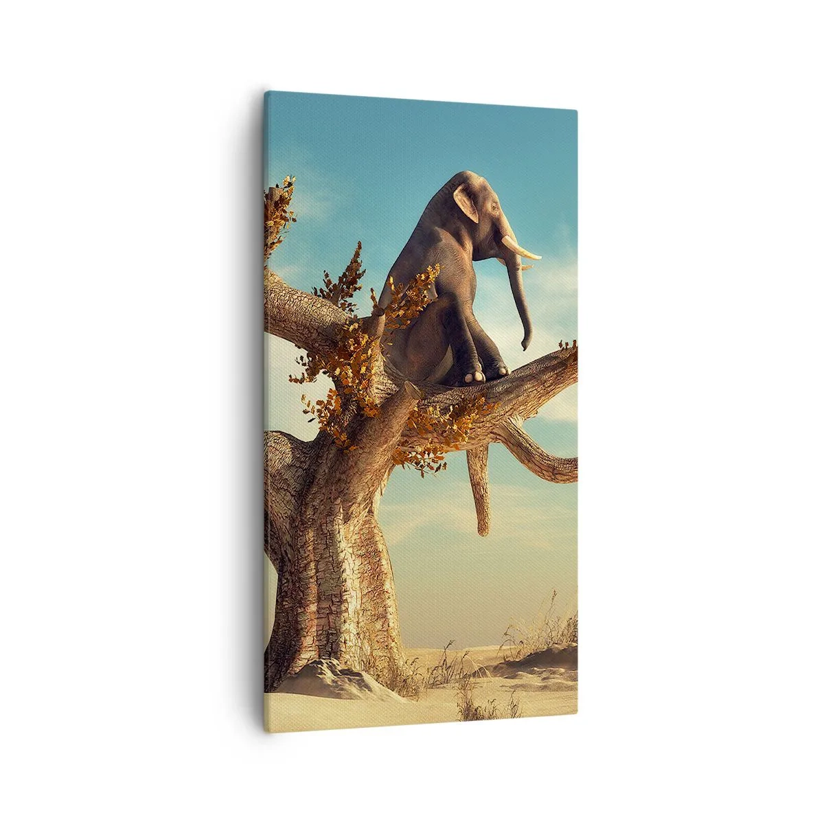 Bild auf Leinwand - Leinwandbild - Ein neuer Standpunkt - 55x100 cm