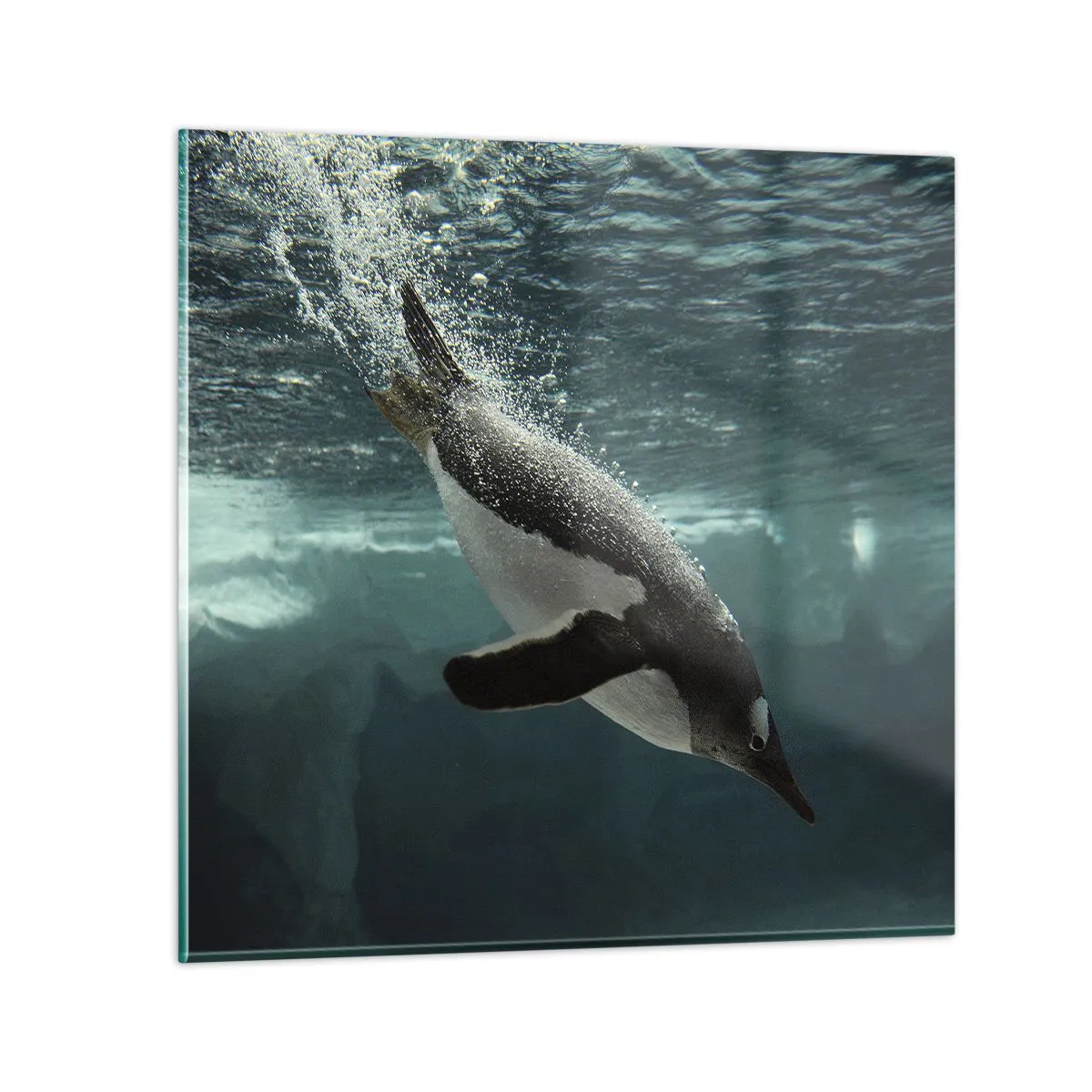 Glasbild - Bild auf glas - Willkommen in meiner Welt - 70x70 cm