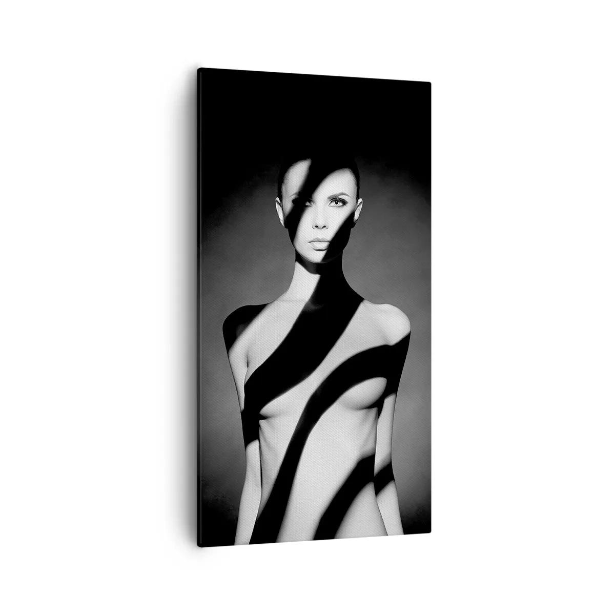 Bild auf Leinwand - Leinwandbild - In Glanz und Schatten - 55x100 cm