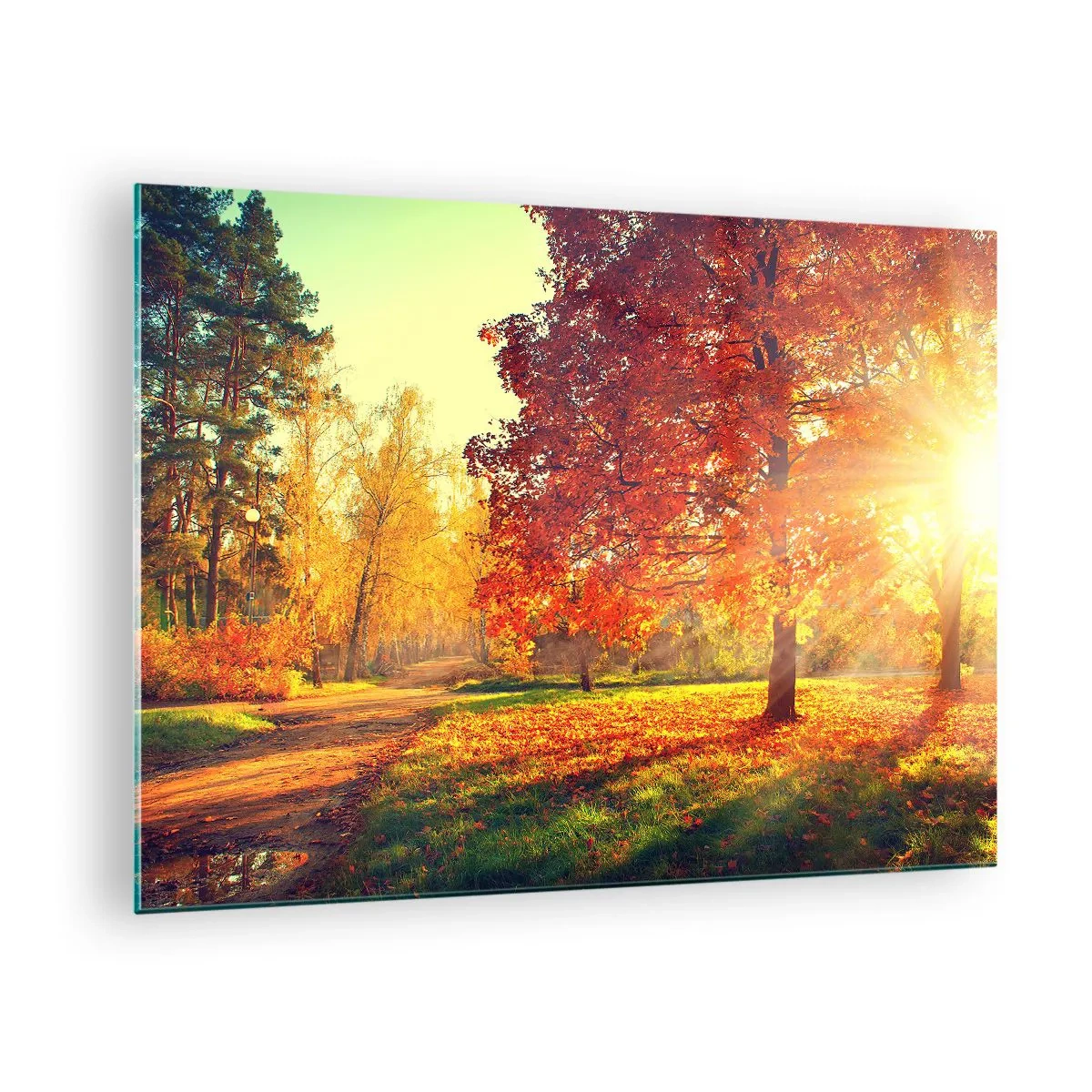 Glasbild - Bild auf glas - Herbstallee mit Sonnenstrahlen - 70x50cm - Unhöflich ist schön - Moderne Wanddekoration für Wohnzimmer und Schlafzimmer ARTTOR