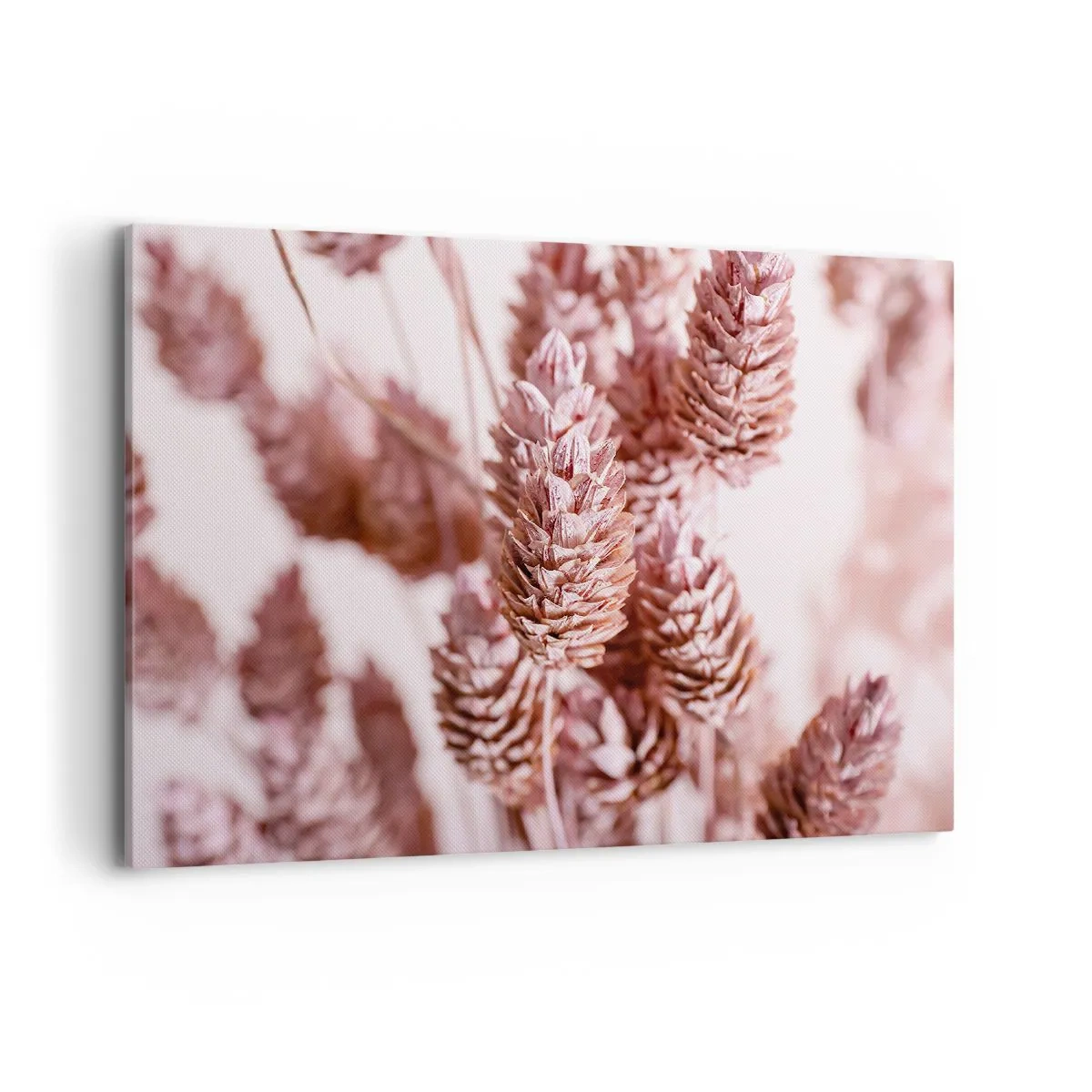 Bild auf Leinwand - Leinwandbild - Eine Nahaufnahme der zarten rosa Ähren von Ziergräsern - 100x70cm - Scheinbar unauffällig - Moderne Wanddekoration für Wohnzimmer und Schlafzimmer ARTTOR