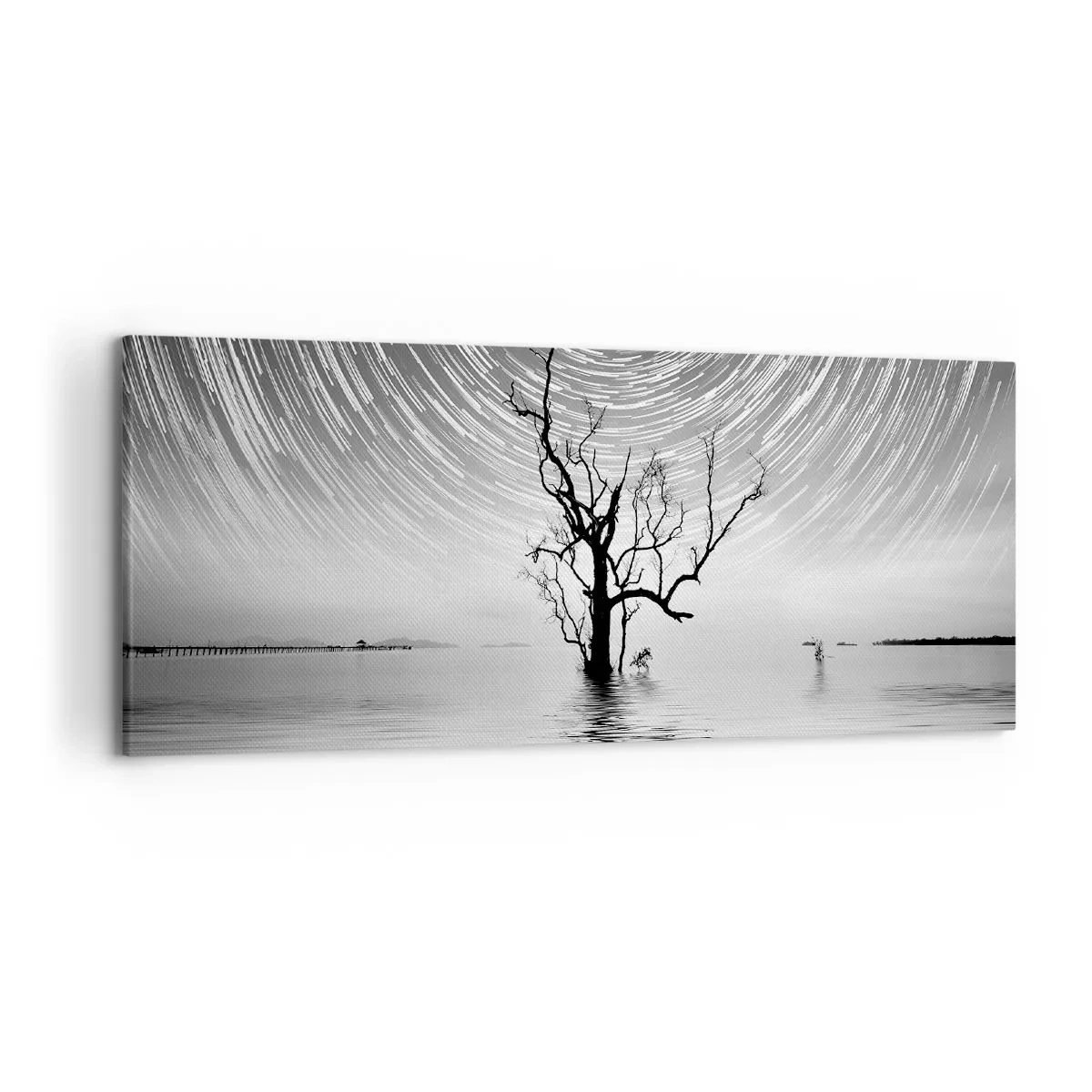 Bild auf Leinwand - Leinwandbild - Ein Baum im Wasser unter einem Nachthimmel mit sich bewegenden Sternen - 120x50cm - Eine Sinfonie der Natur - Moderne Wanddekoration für Wohnzimmer und Schlafzimmer ARTTOR