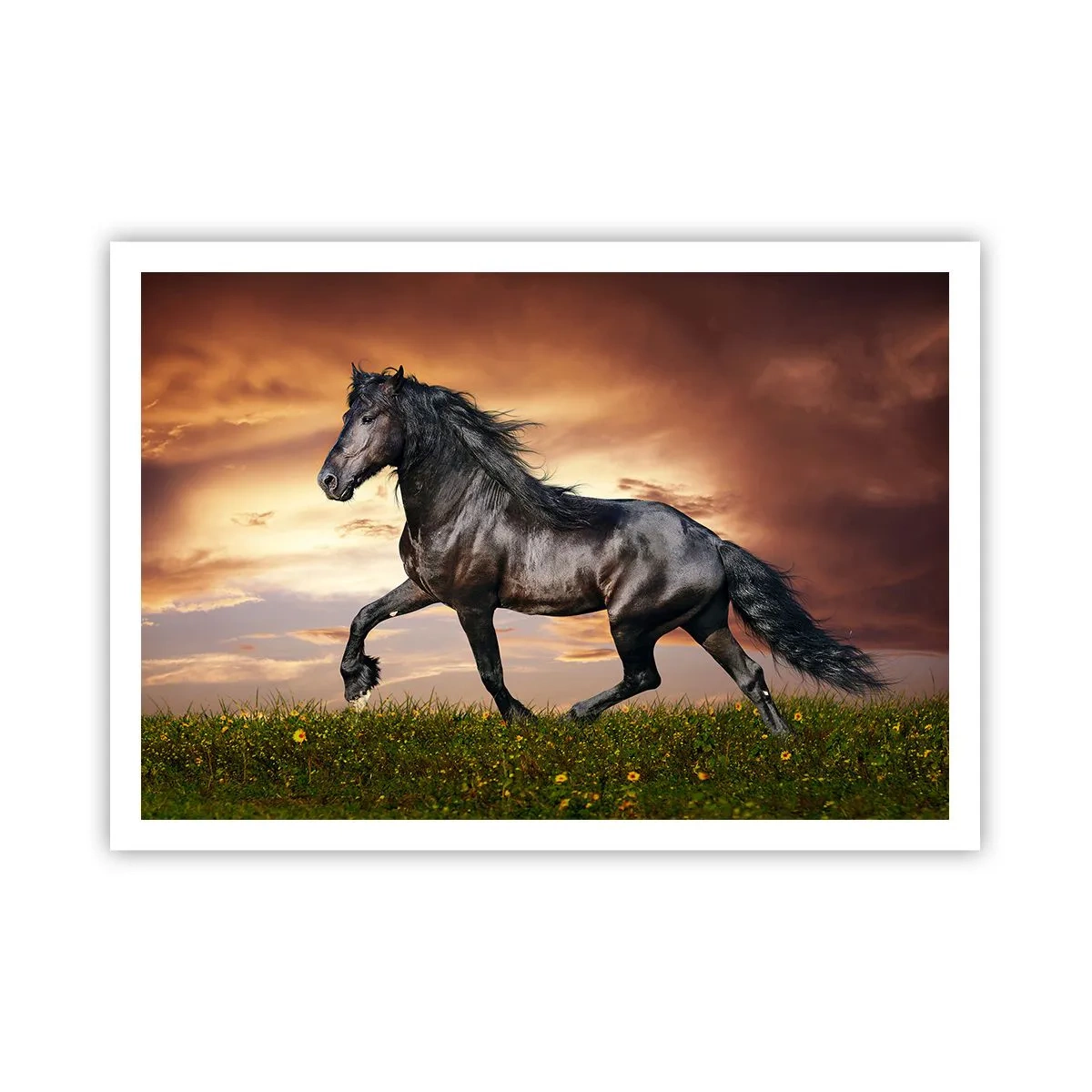 Poster - Ein schwarzes Pferd galoppiert gegen die untergehende Sonne - 100x70cm - Schwarzer Prinz - Moderne Wanddekoration für Wohnzimmer und Schlafzimmer ARTTOR