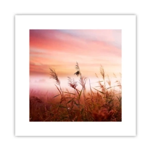 Poster - Drachen, Löwenzahn, Wind - 30x30 cm