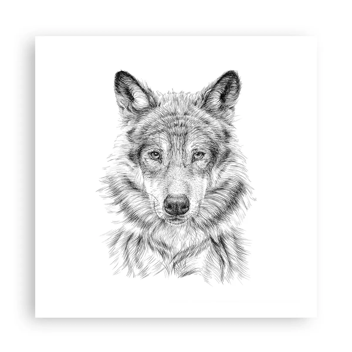 Poster - Ein geborener Anführer - 60x60 cm