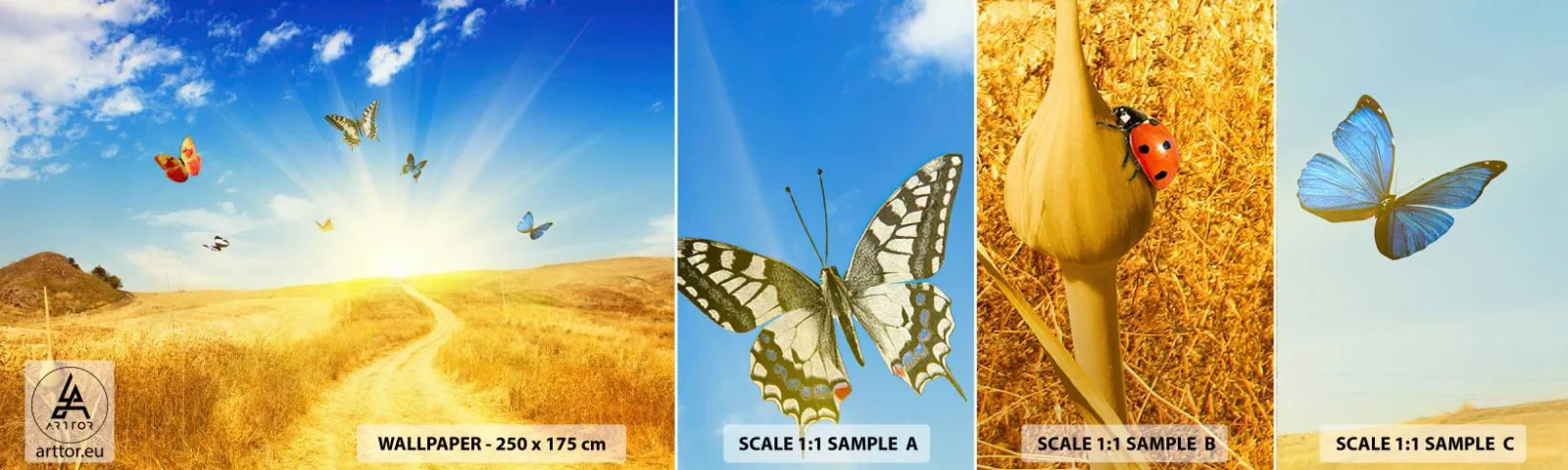 Fototapetenmuster Standard Eco - Und wie kann man den Sommer nicht lieben? - Landschaft, Schmetterlinge, Natur - 100x30 cm