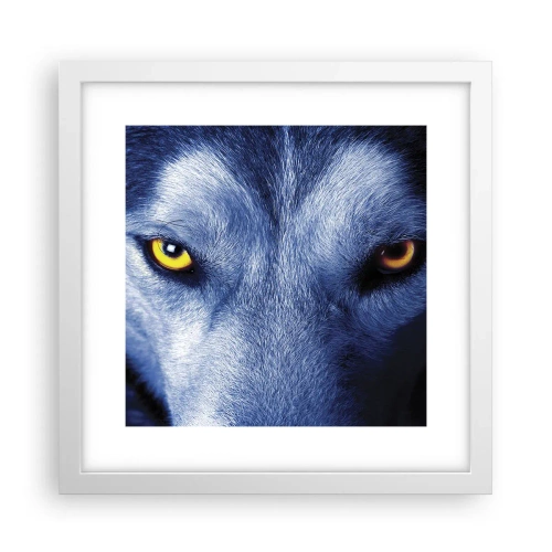 Poster in einem weißen Rahmen - Faszinierender Blick - 30x30 cm