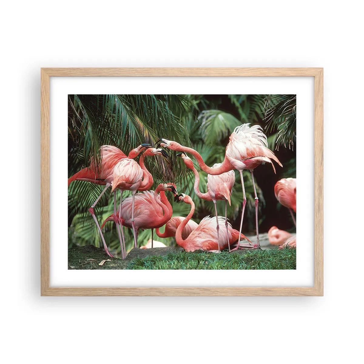 Poster in einem Rahmen aus heller Eiche - Nachmittagsklatsch - 50x40 cm