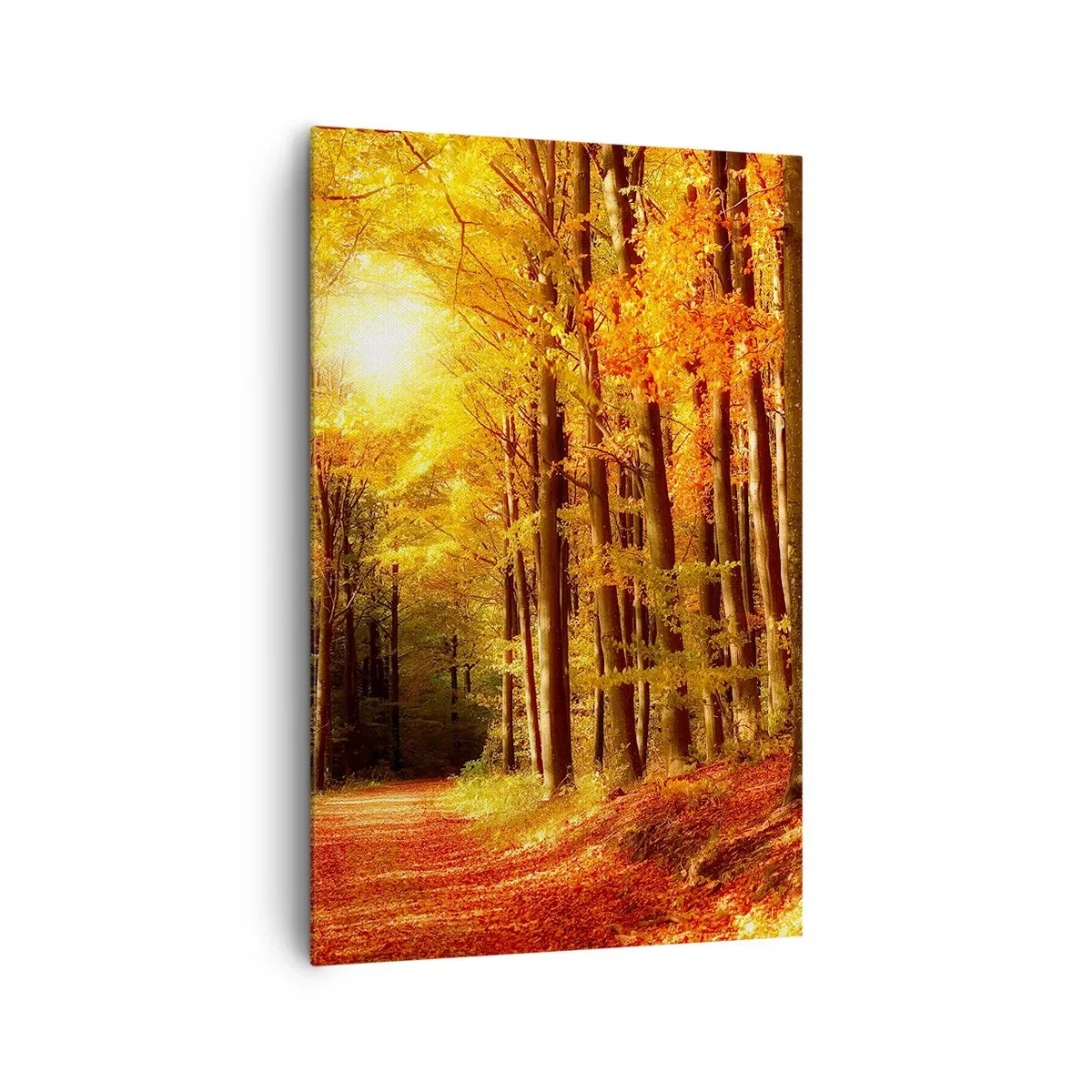 Bild auf Leinwand - Leinwandbild - Herbstwald mit Sonnenstrahlen, die durch die Bäume scheinen - 80x120cm - Goldener Herbst auf einer Forststraße - Moderne Wanddekoration für Wohnzimmer und Schlafzimmer ARTTOR