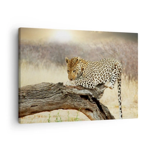 Bild auf Leinwand - Leinwandbild - Ein Leopard ruht auf einem Baumstamm in der Savanne - 70x50cm - Ich gehe meine eigenen Wege - Moderne Wanddekoration für Wohnzimmer und Schlafzimmer ARTTOR