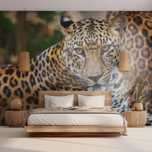 Fototapete Premium Sand - Wild und ruhig - Tiere, Leopard, Afrika - 200x140 cm
