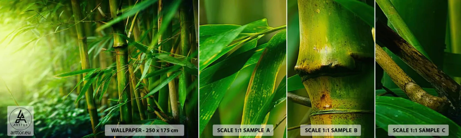 Fototapetenmuster Standard Eco - Lerne Grün selbst kennen - Anlage, Bambus, Dschungel - 100x30 cm