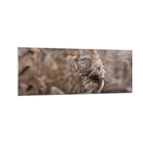 Glasbild - Bild auf glas - Zarte Gräser in Beigetönen vor dem Hintergrund der Natur - 140x50cm - Zeit, mit dem Wind zu gehen - Moderne Wanddekoration für Wohnzimmer und Schlafzimmer ARTTOR