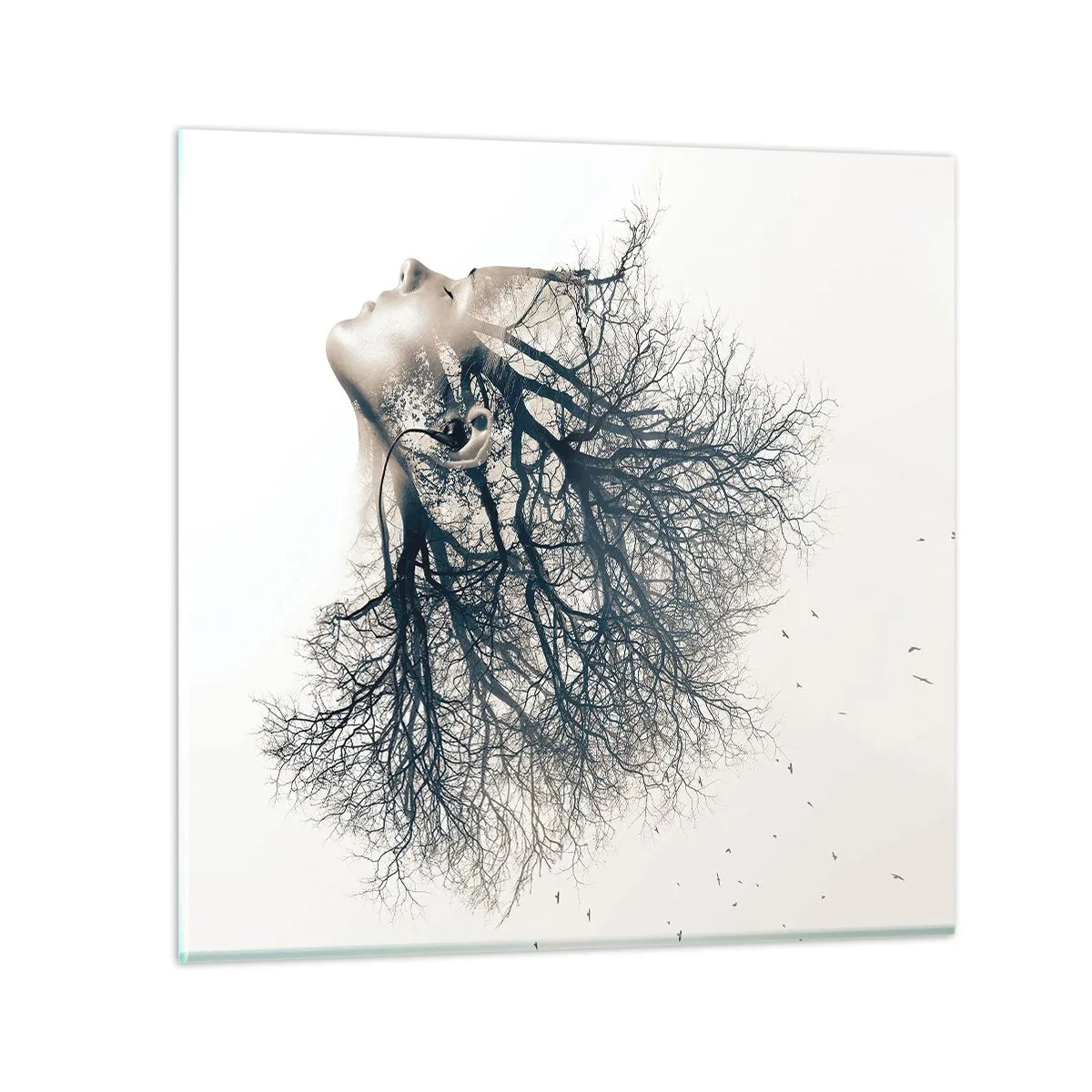 Glasbild - Bild auf glas - Dem Rauschen der Bäume lauschen - 30x30 cm