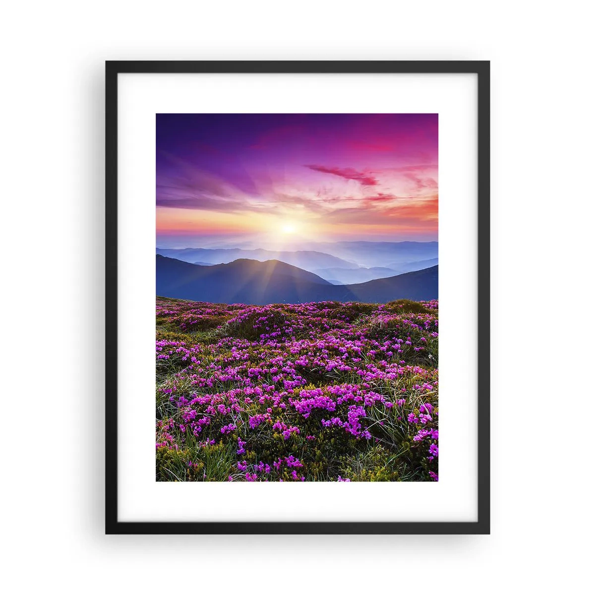 Poster in einem schwarzem Rahmen - Kräuter dufteten nach frischen Trauben von den Feldern - 40x50 cm