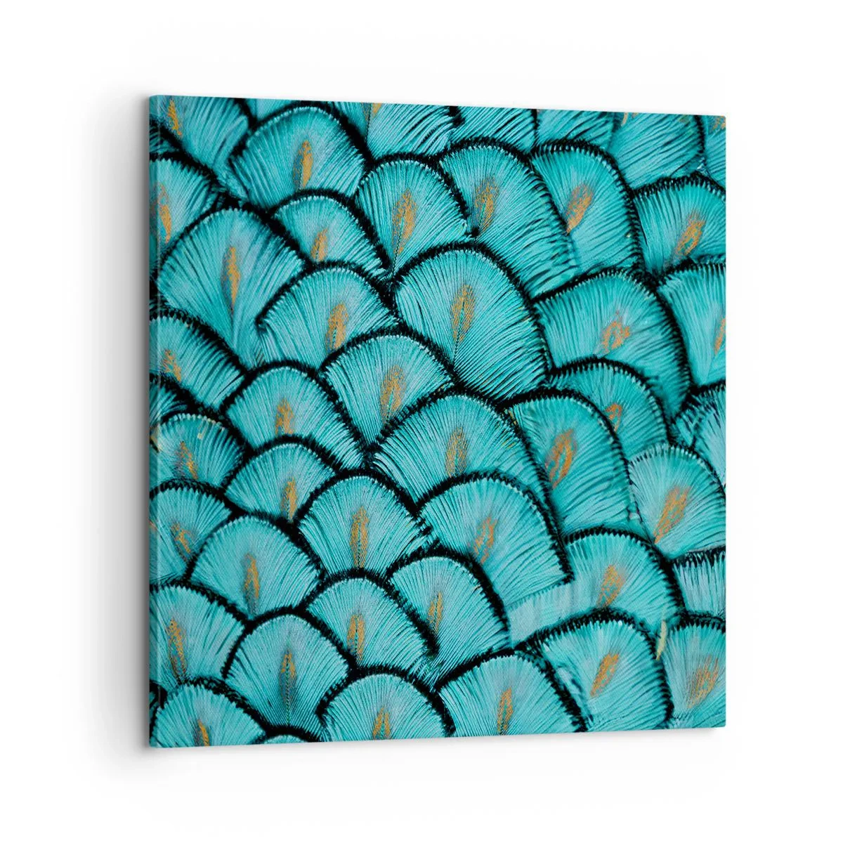 Bild auf Leinwand - Leinwandbild - Große Federgala - 60x60 cm