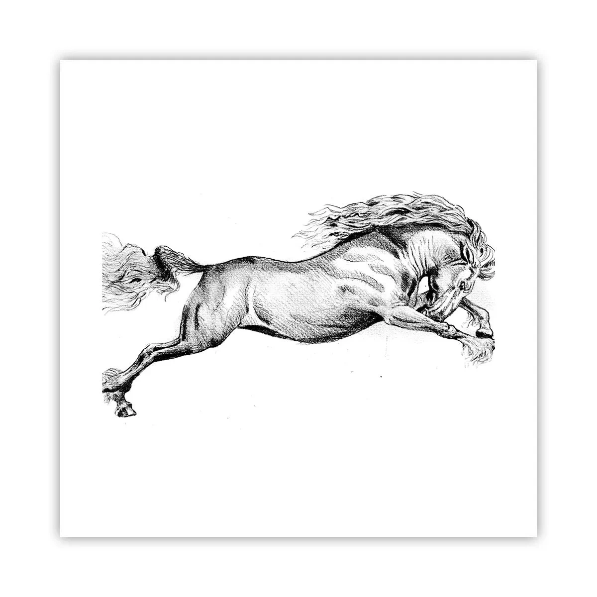 Poster - Im Galopp festgehalten - 40x40 cm