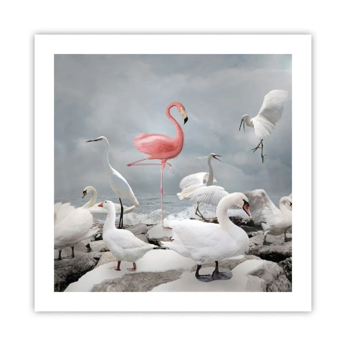 Poster - Wie kam ich hier hin? - 50x50 cm