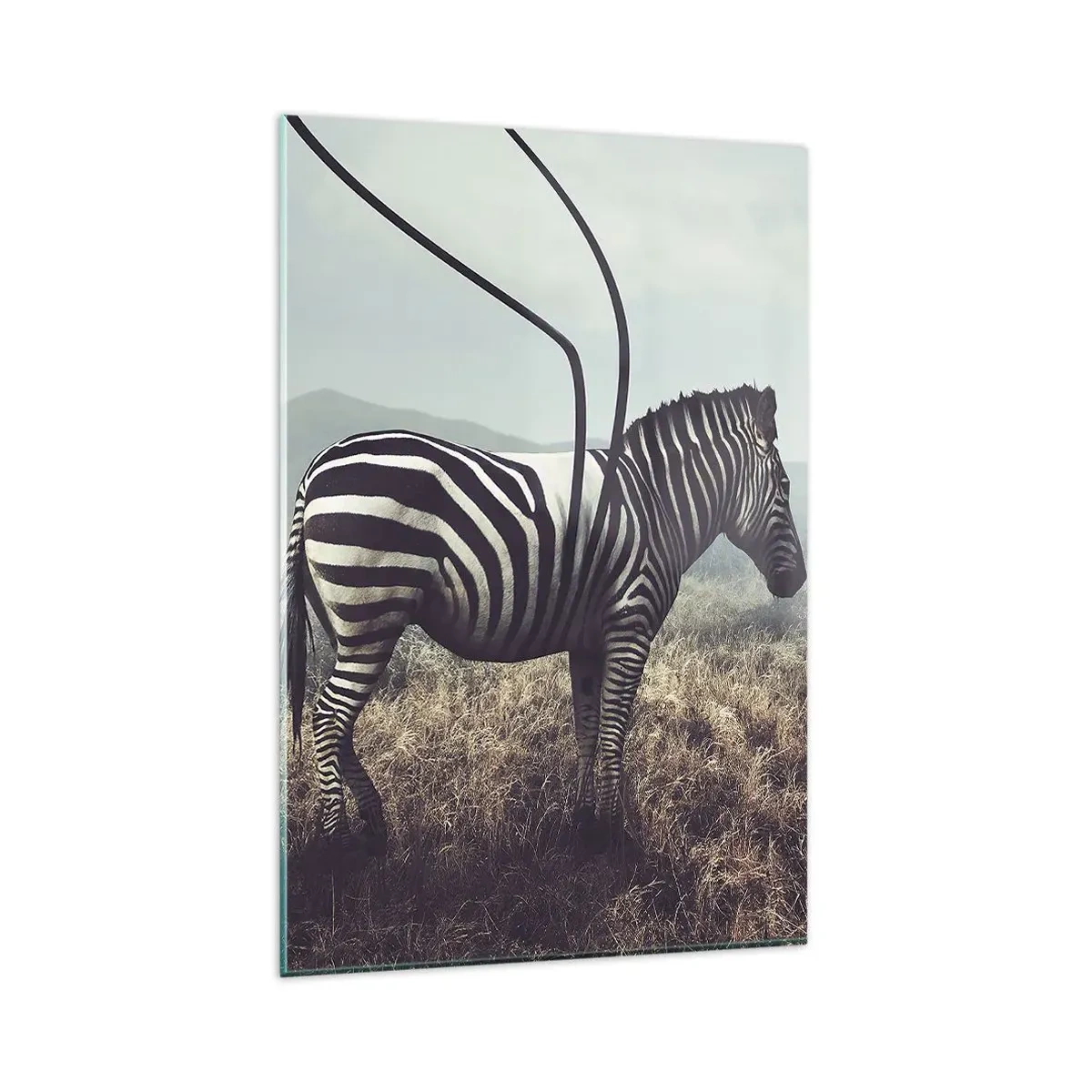 Glasbild - Bild auf glas - Ein surreales Zebra vor einer grasbewachsenen Landschaft - 80x120cm - Achtung! Fehler - Moderne Wanddekoration für Wohnzimmer und Schlafzimmer ARTTOR