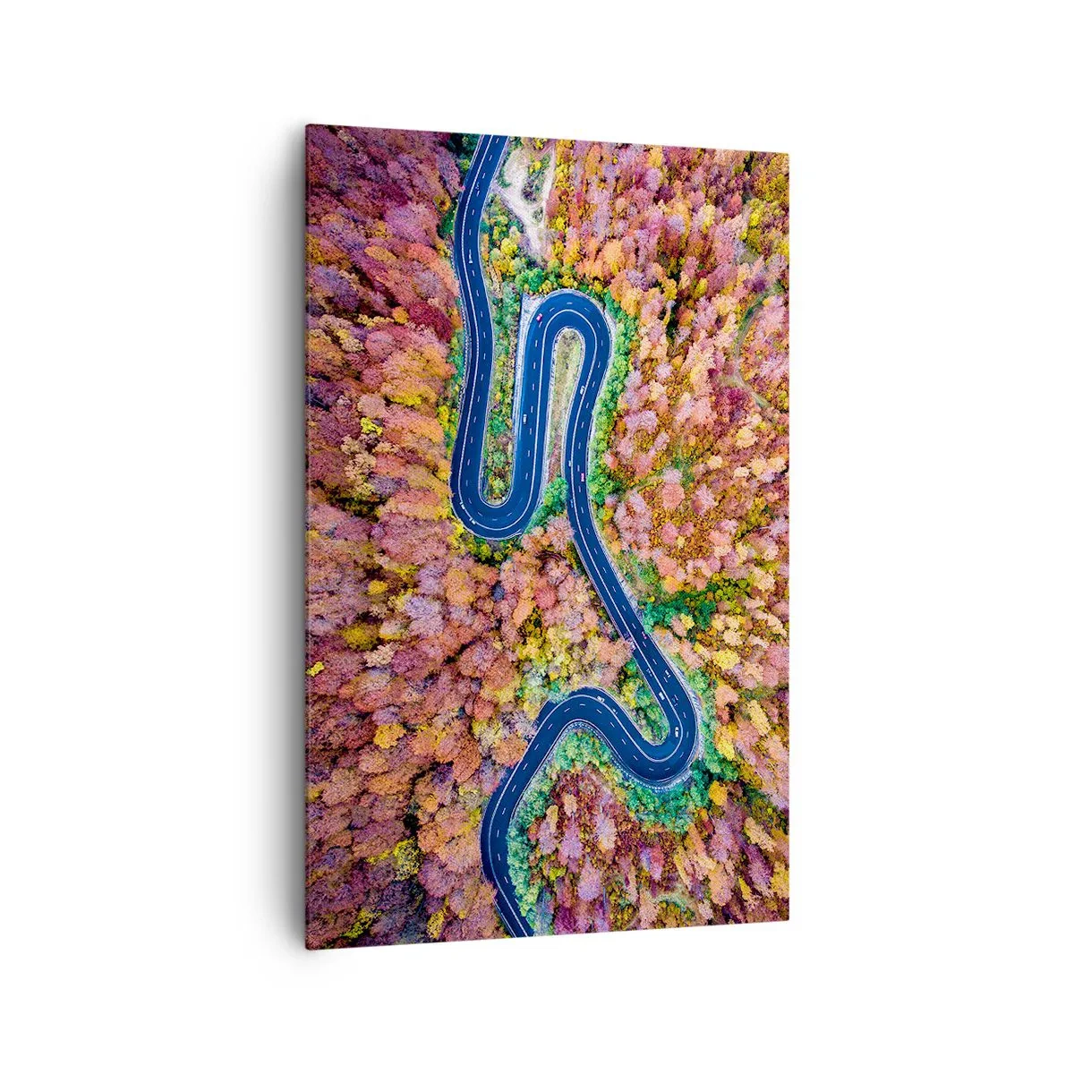 Bild auf Leinwand - Leinwandbild - Eine kurvenreiche Straße in einem herbstlichen Wald aus der Vogelperspektive gesehen - 80x120cm - Kurvenreicher Weg durch den Wald - Moderne Wanddekoration für Wohnzimmer und Schlafzimmer ARTTOR