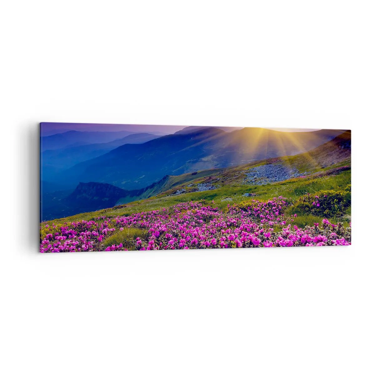 Bild auf Leinwand - Leinwandbild - Eine blühende Wiese mit Blick auf die Berge bei Sonnenuntergang - 140x50cm - … Und drumherum duftet es nach Latschenkiefer und dem Duft von Kräutern - Moderne Wanddekoration für Wohnzimmer und Schlafzimmer ARTTOR