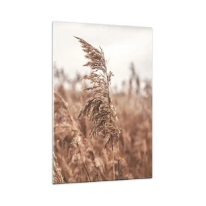 Glasbild - Bild auf glas - Goldene Gräser vor dem Hintergrund der Herbstlandschaft - 80x120cm - Auf den Feldern ist es schon Herbst - Moderne Wanddekoration für Wohnzimmer und Schlafzimmer ARTTOR