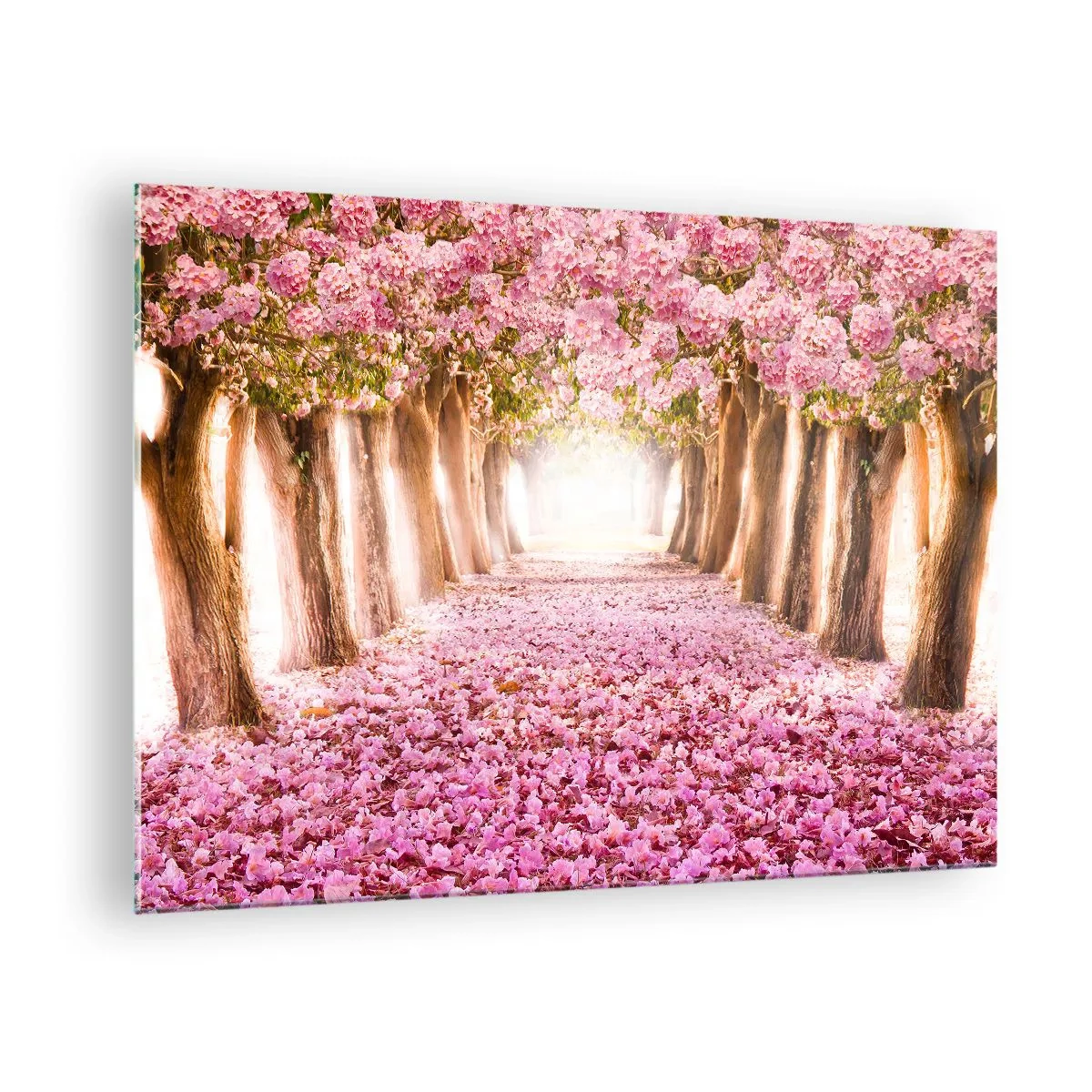 Glasbild - Bild auf glas - Eine Allee blühender Bäume mit rosa Blütenblättern auf dem Boden - 70x50cm - Der Weg ins Paradies - Moderne Wanddekoration für Wohnzimmer und Schlafzimmer ARTTOR