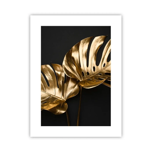 Poster - Die Schätze der Natur - 30x40 cm