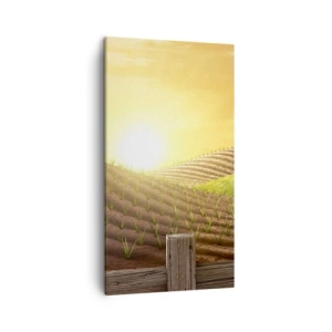 Bild auf Leinwand - Leinwandbild - Ein Bauernhof wie aus einem Märchen - 45x80 cm